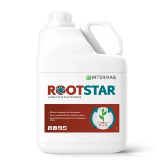 ROOTSTAR