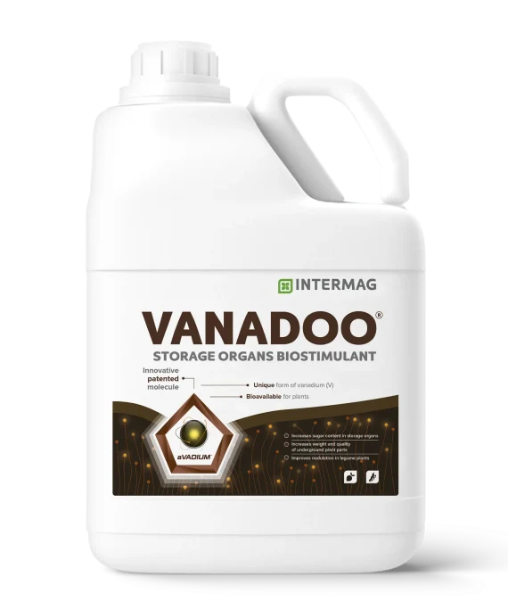 VANADOO